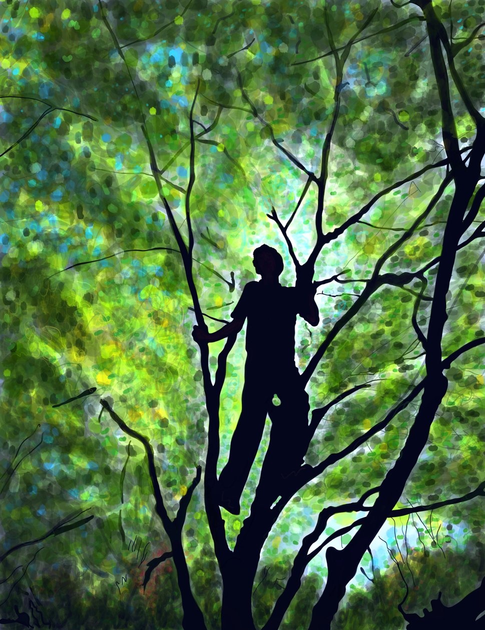Emmitt In Trees, Brooklyn by Evan Sklar