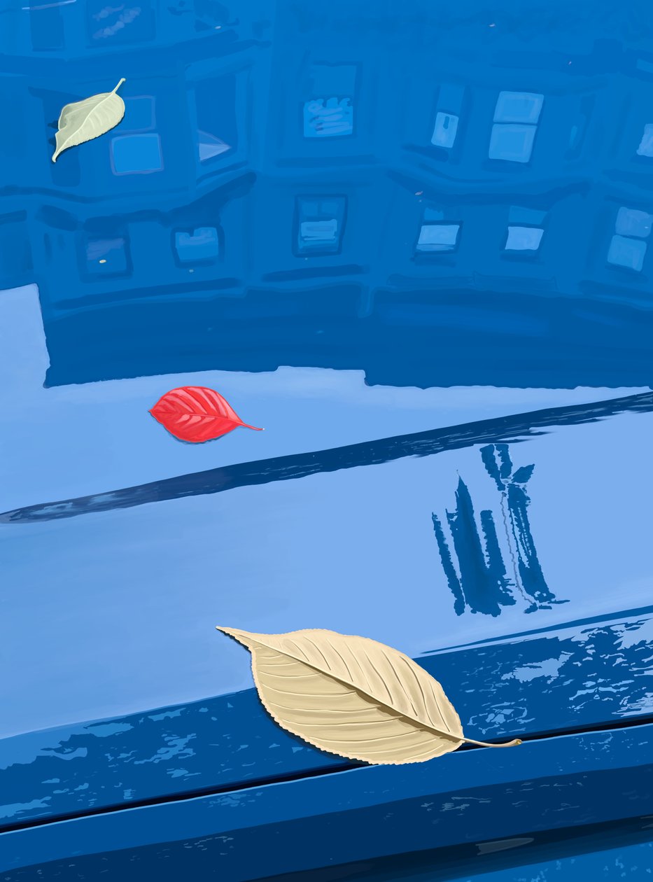 Fallen Leaves On Blue Car, Brooklyn by Evan Sklar