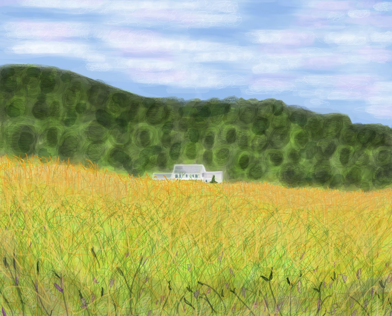 Field and Farmhouse In Vermont by Evan Sklar
