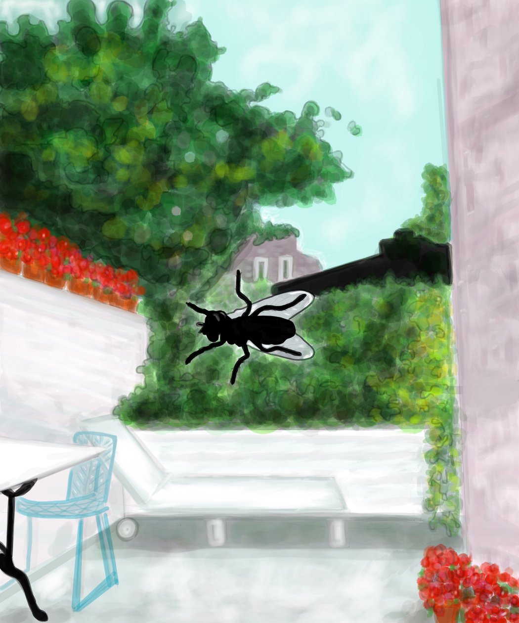 Fly On Window, Brooklyn by Evan Sklar