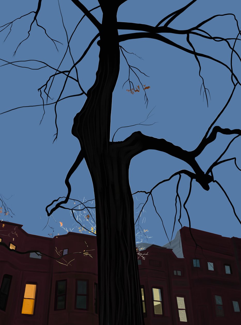 Houses and Tree at Night, Brooklyn by Evan Sklar