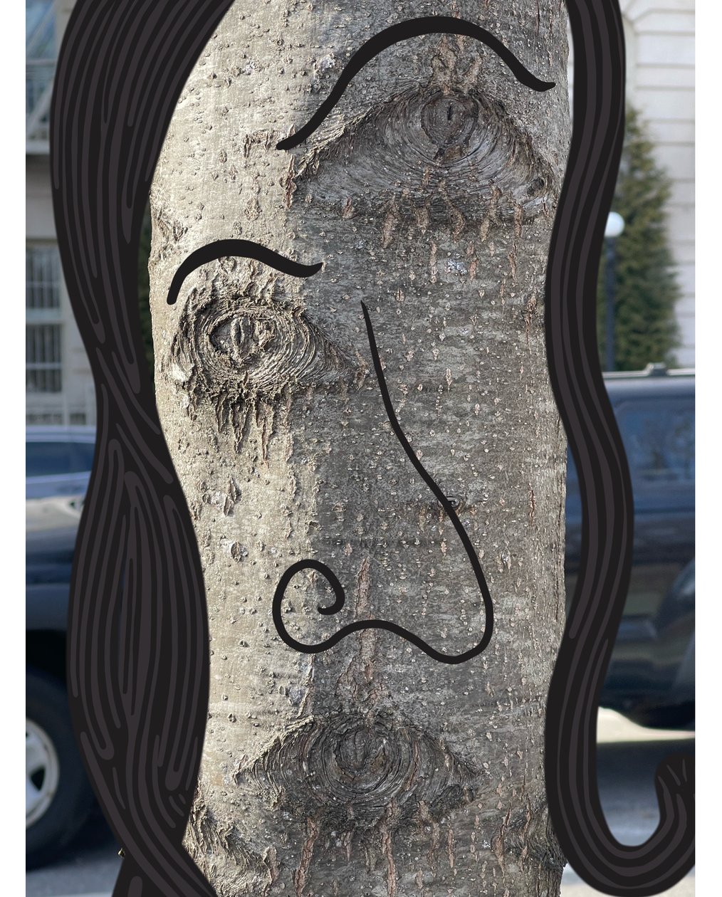 Illustration of Tree Face Using Photography and Drawing, Brooklyn by Evan Sklar