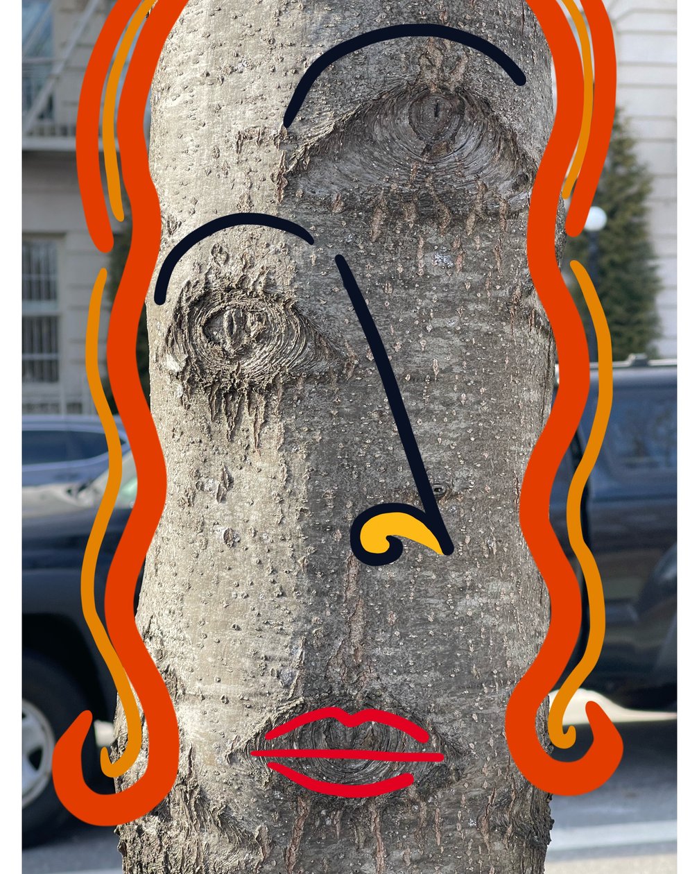 Illustration of Tree Face Using Photography and Drawing, Brooklyn by Evan Sklar