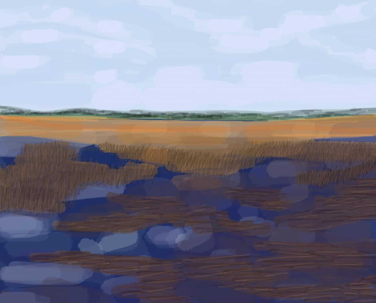 Low Country by Evan Sklar