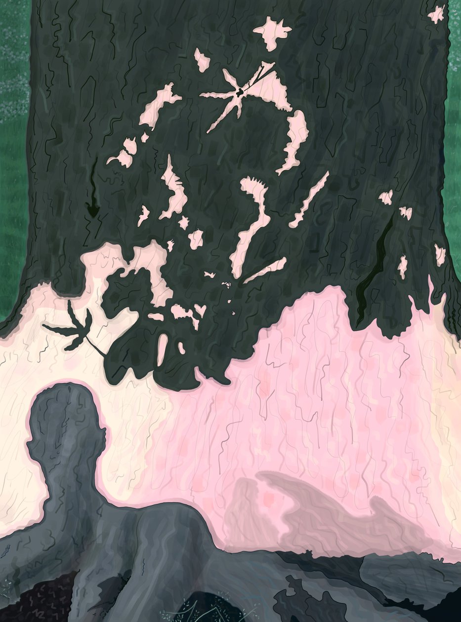 My Shadow On Tree, Brooklyn by Evan Sklar