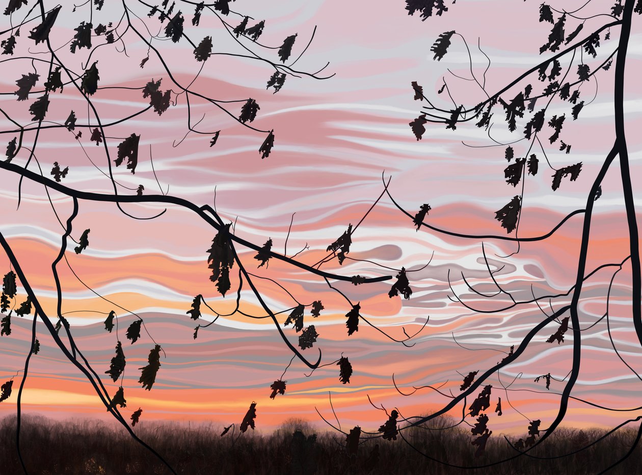 Oak Leaves and Sky, Brooklyn by Evan Sklar
