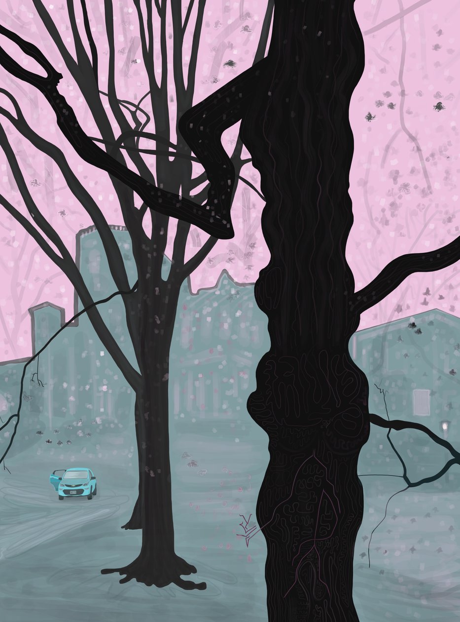 Old Tree, Old House and Car, Brooklyn by Evan Sklar