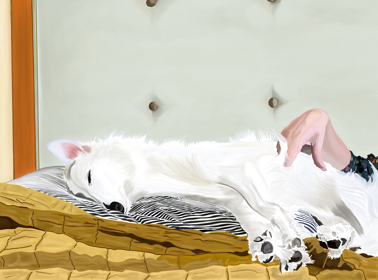 Penny On Yellow Comforter, Brooklyn by Evan Sklar