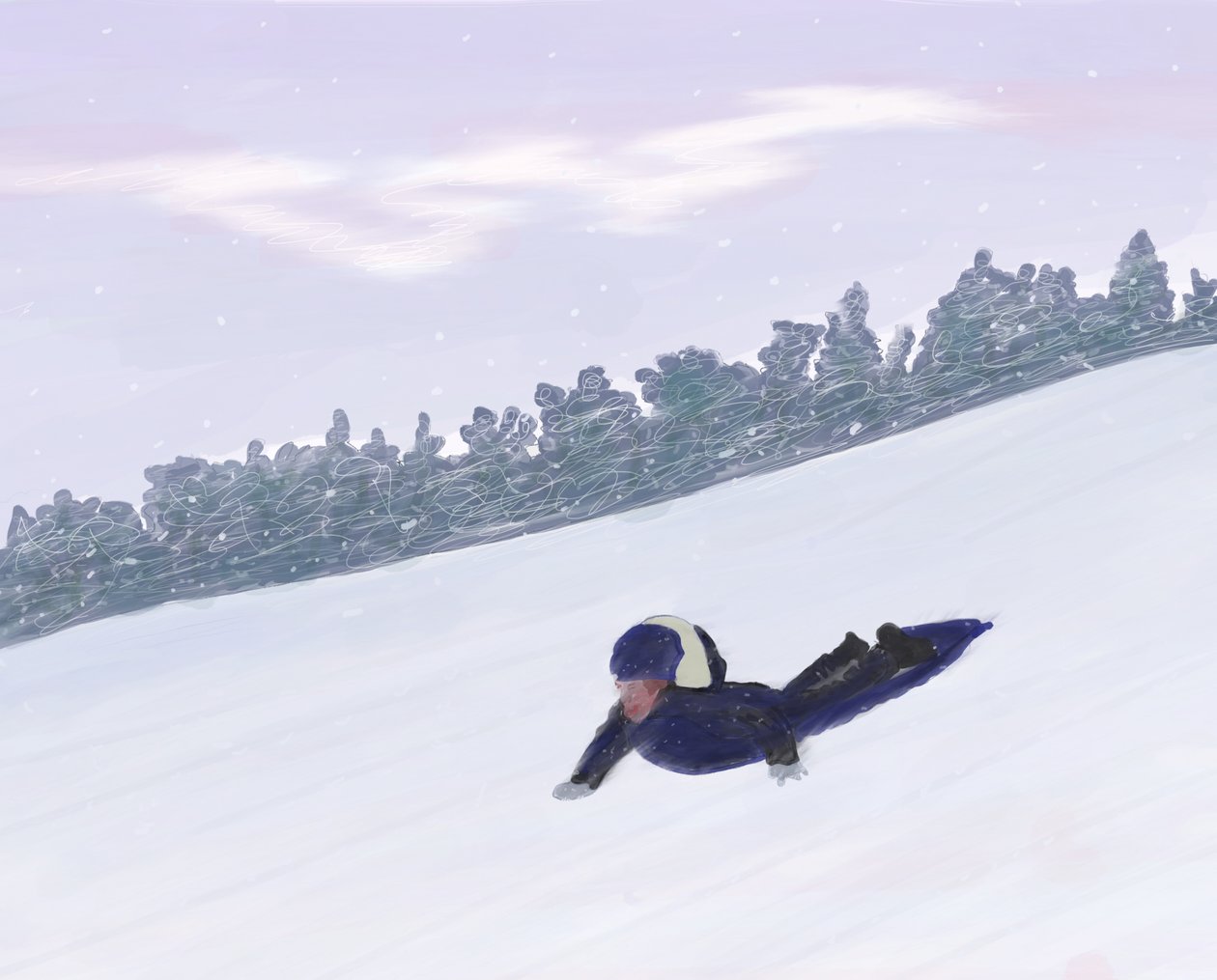 Sledding, Hudson Valley by Evan Sklar