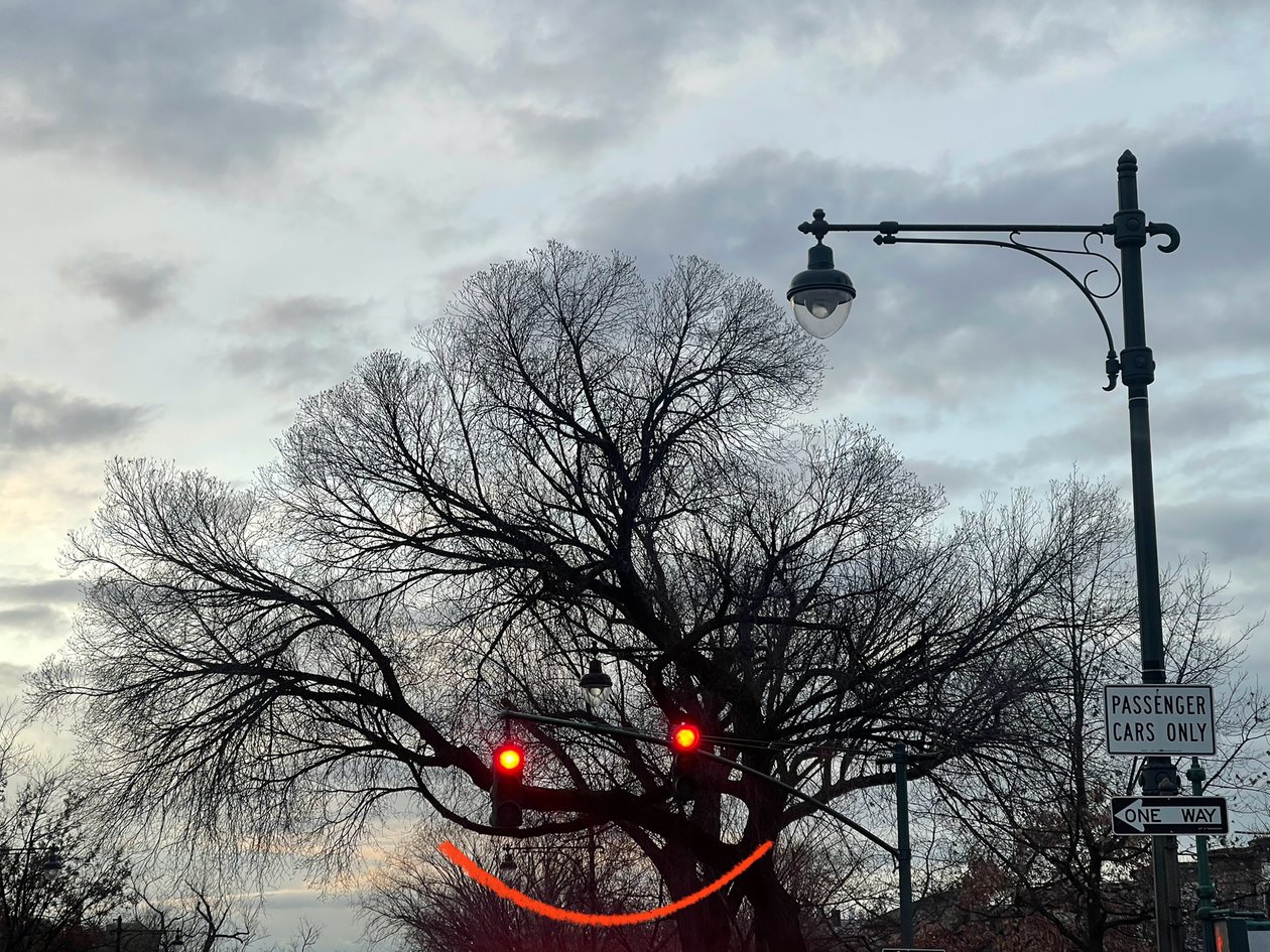 Smiling Tree and Traffic Lights, Brooklyn by Evan Sklar