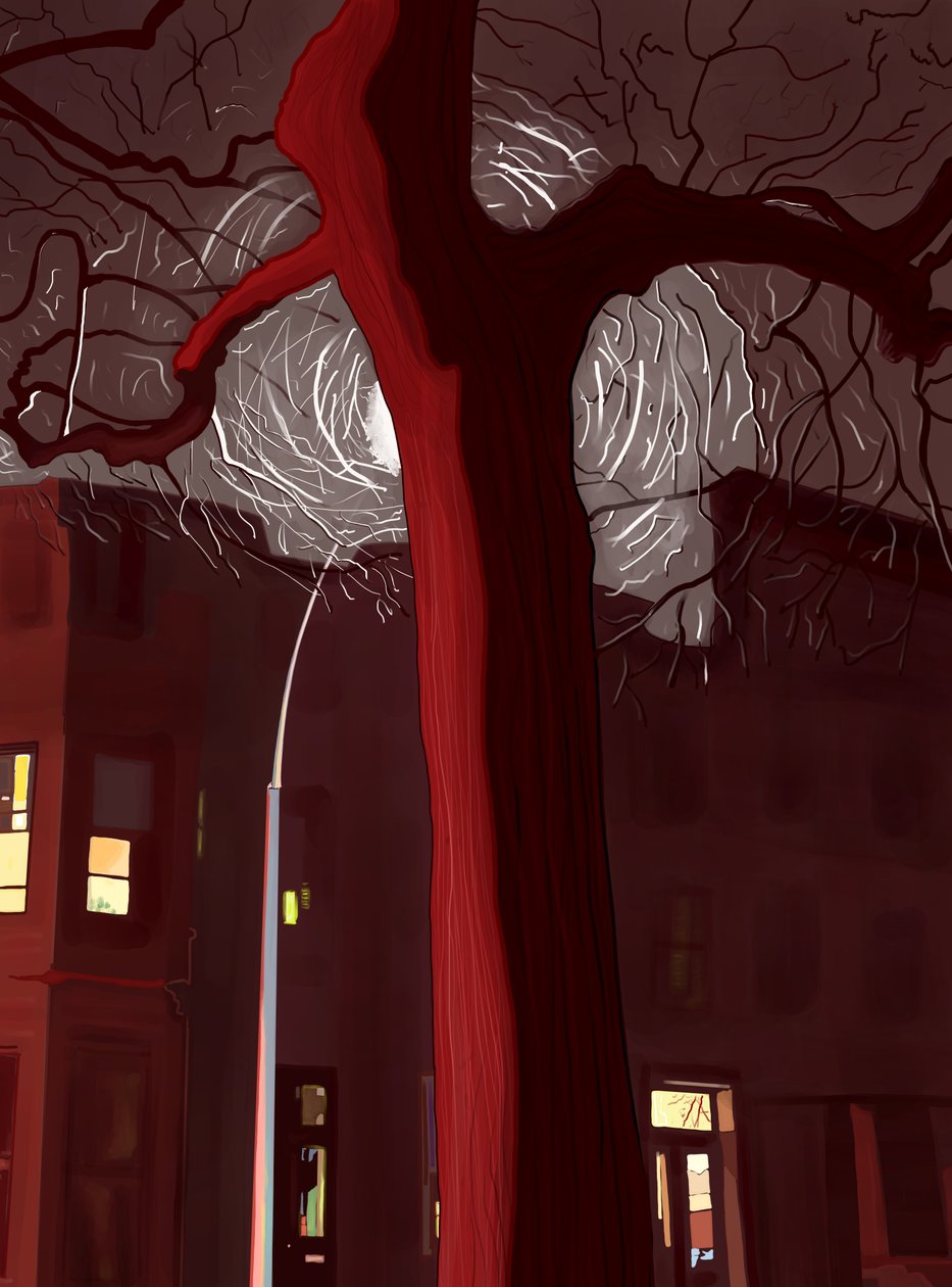 Street and Tree at Night Lit By Sirens and Street Lamp by Evan Sklar