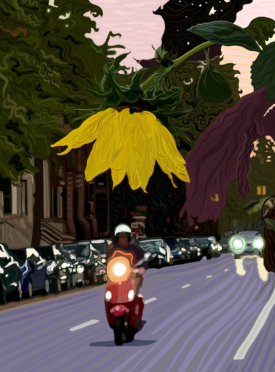 Sunflower and Man Driving Red Scooter by Evan Sklar