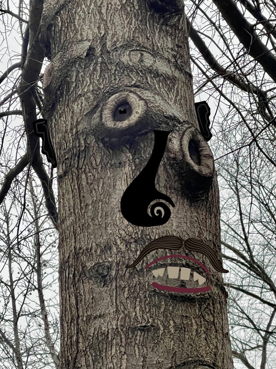 Tree Face by Evan Sklar