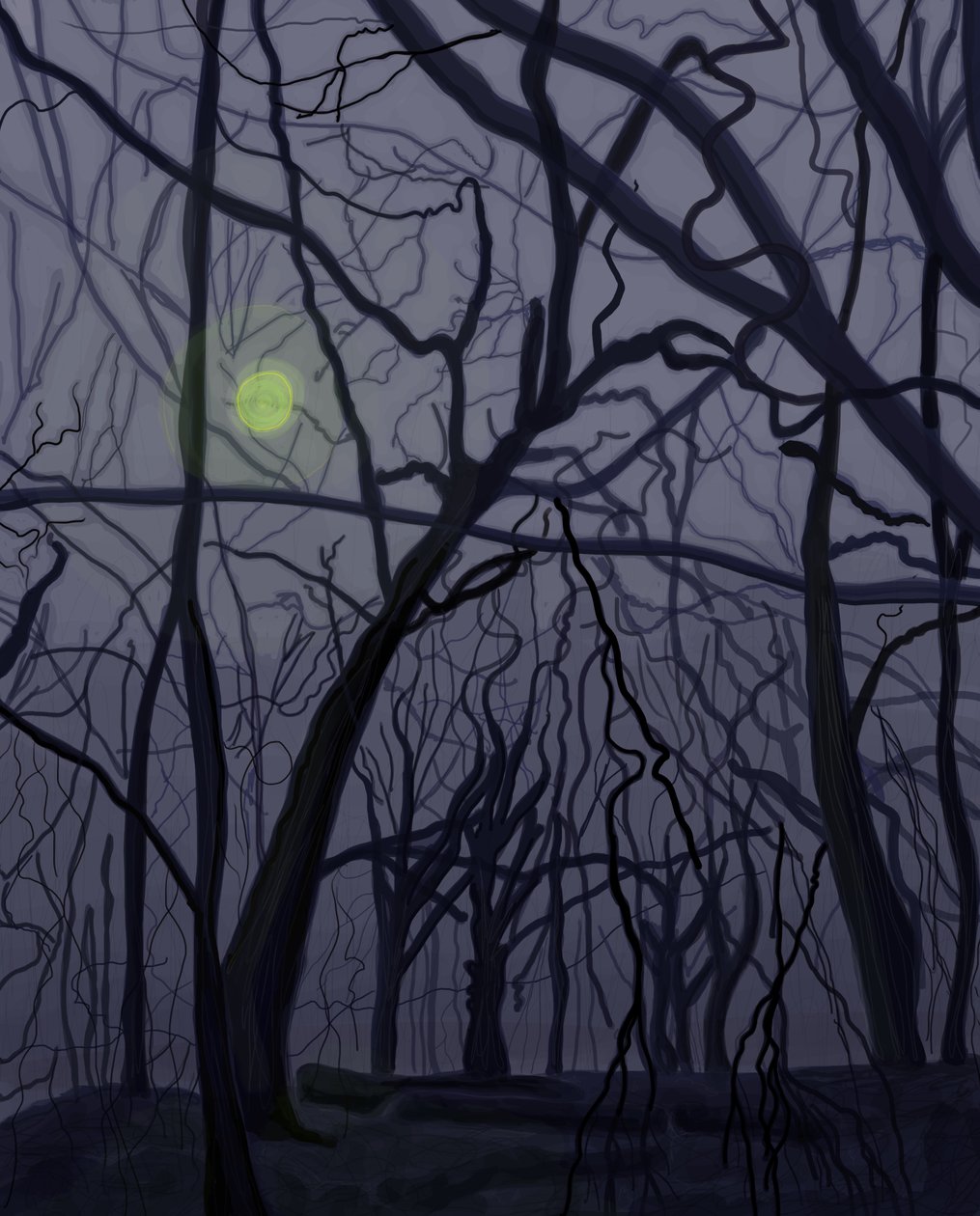 Trees by Evan Sklar