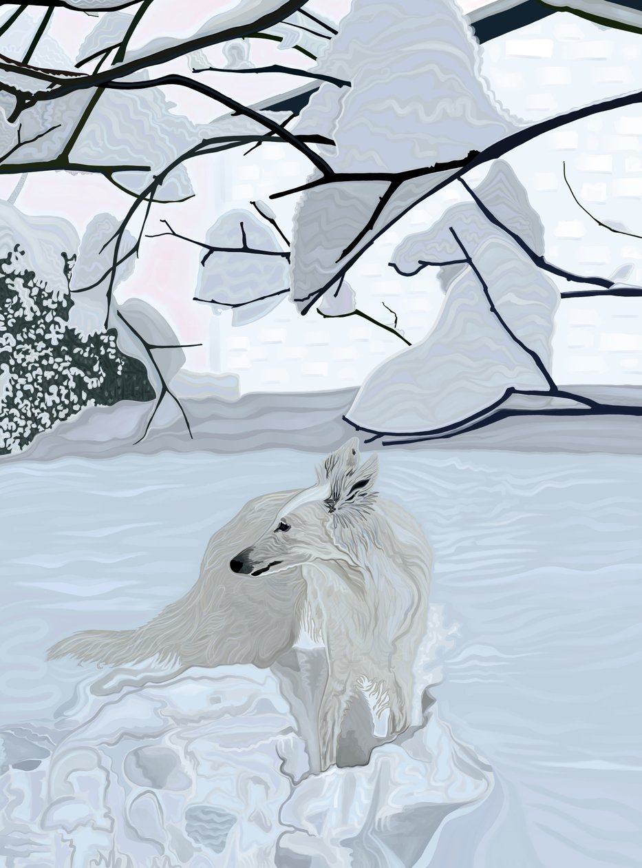 White Dog In Snow by Evan Sklar