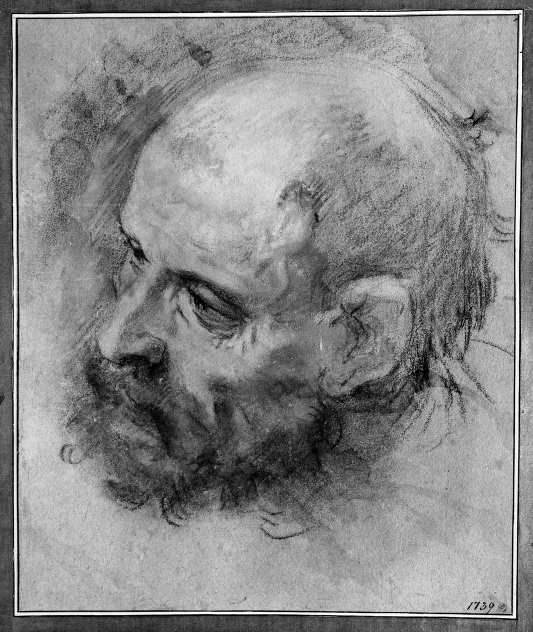 Head of a Bearded Man Turned to the Left and Inclined to the Side by Federico Barocci