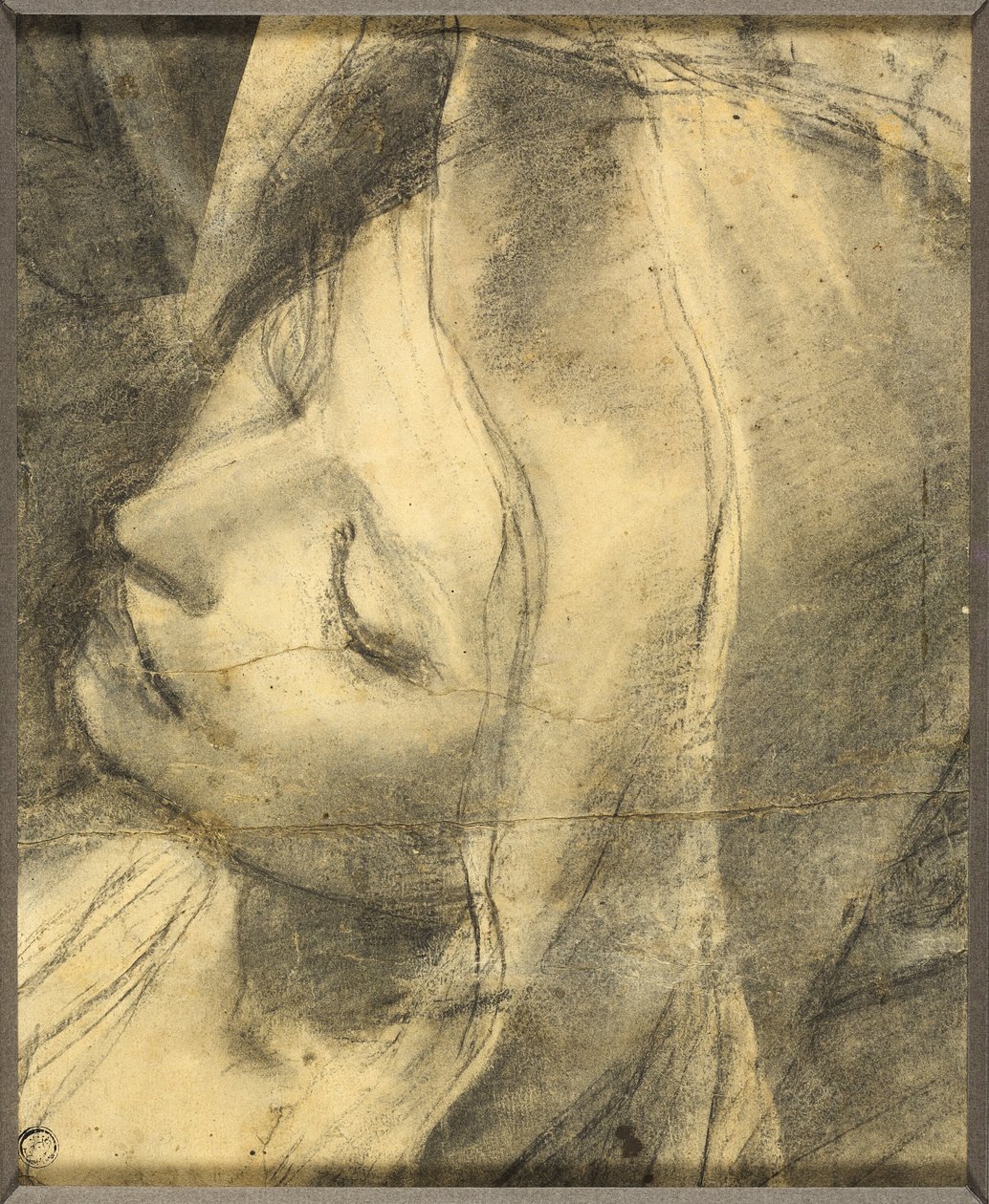Head of the Swooning Virgin: Study for the Deposition (detail) by Federico Barocci