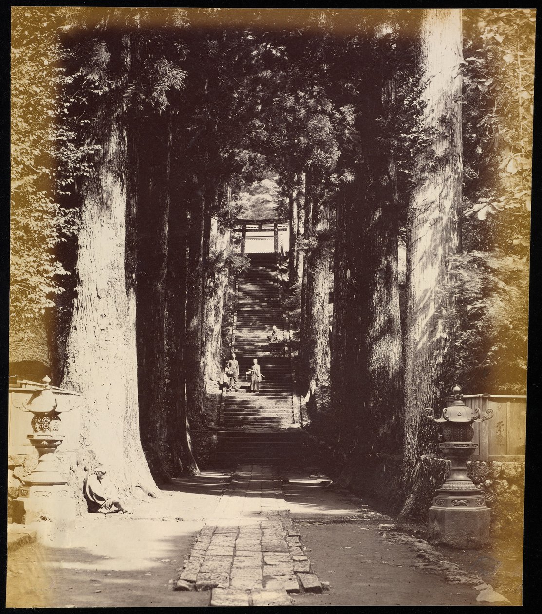 Avenue of Trees Leading to a Temple in Hakoni by Felice Beato