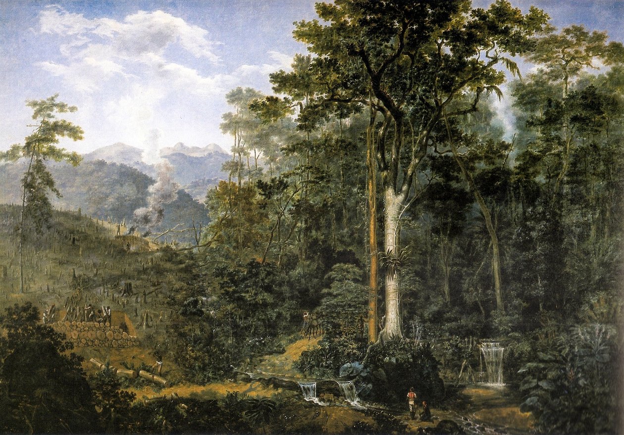 View of a Virgin Forest Reduced to Charcoal by Felix Taunay, Baron of Taunay