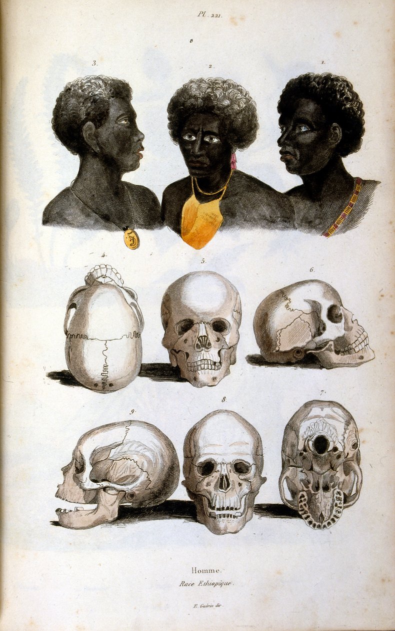 Anthropological illustration depicting the Ethiopian Race by Felix-Edouard Guerin