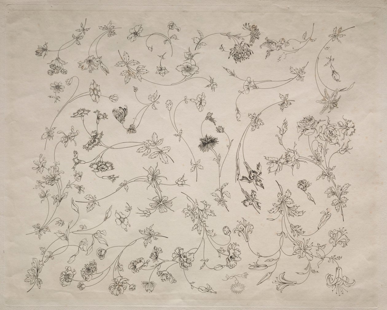 Flower Designs for Plates and Borders No. 14, 1872 by Felix Bracquemond