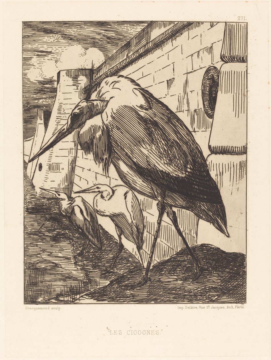 The Storks by Felix Bracquemond