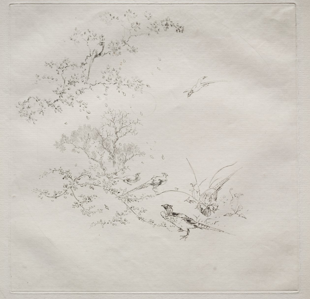 Parisian Service (Haviland service) by Felix Bracquemond