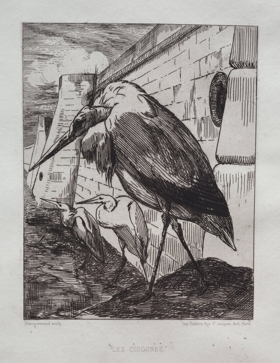 The Storks by Felix Bracquemond
