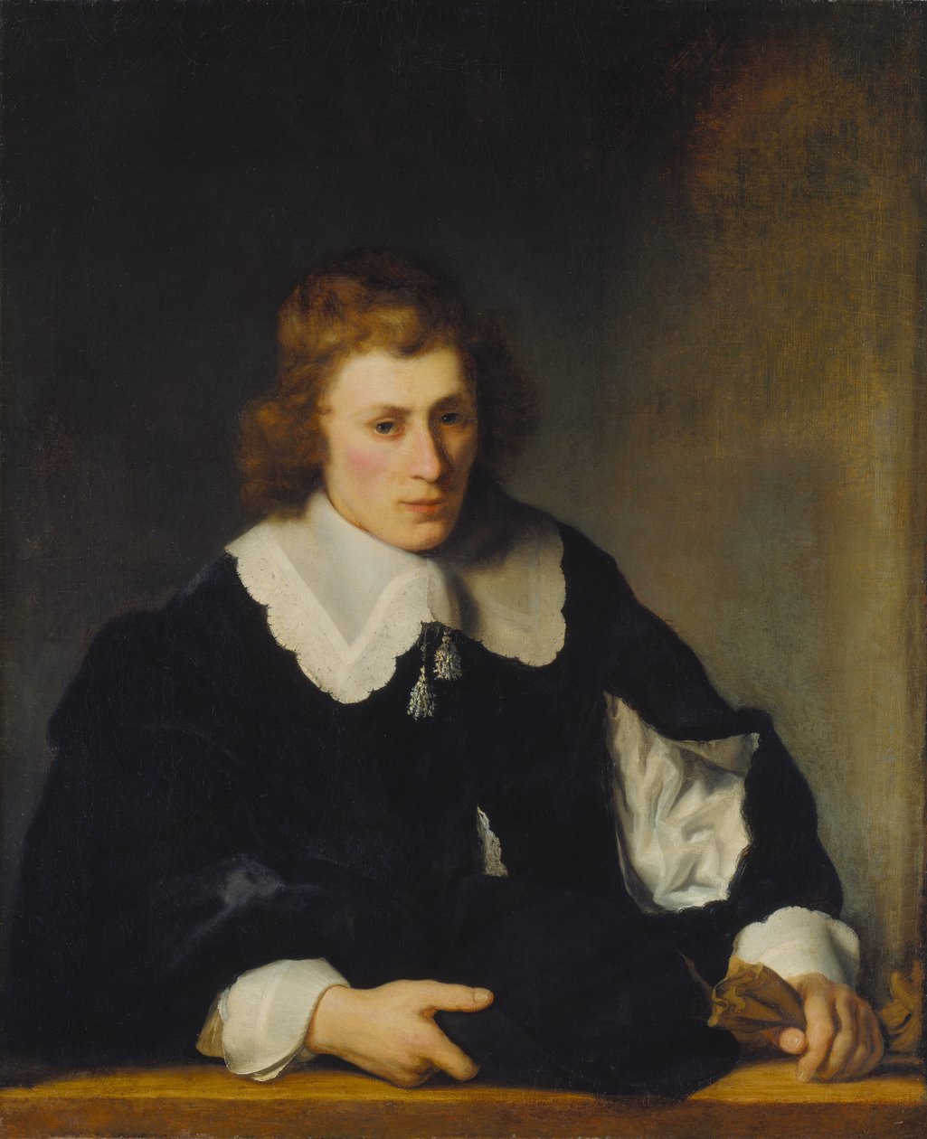 Portrait of a Young Man by Ferdinand Bol