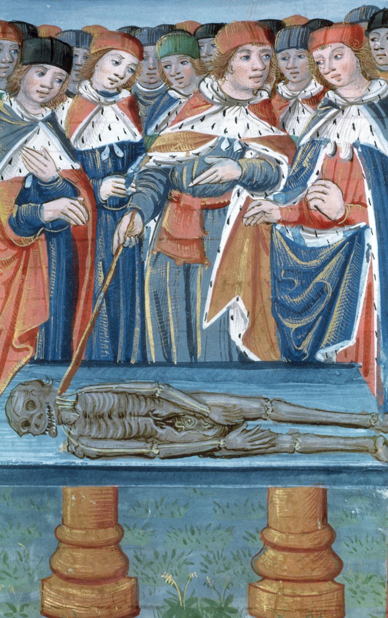 Dissection, from De Medina Fen I. II, by Avicenna (980-1037)