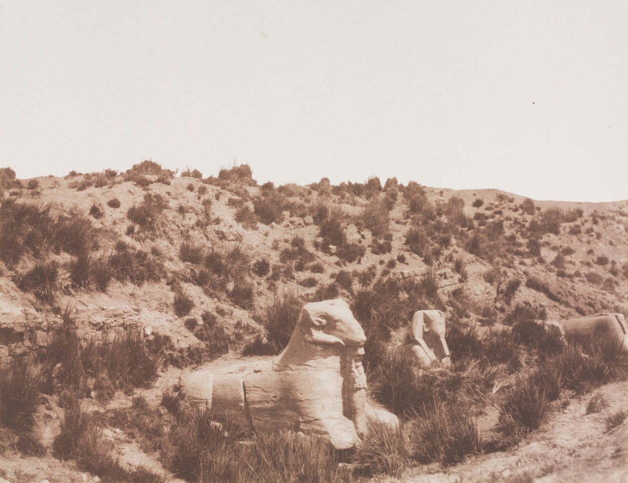 Sphinxes with a Human Head and with a Ram Head at Point Y. Karnak Thebes, 1851-1852 by Félix Teynard