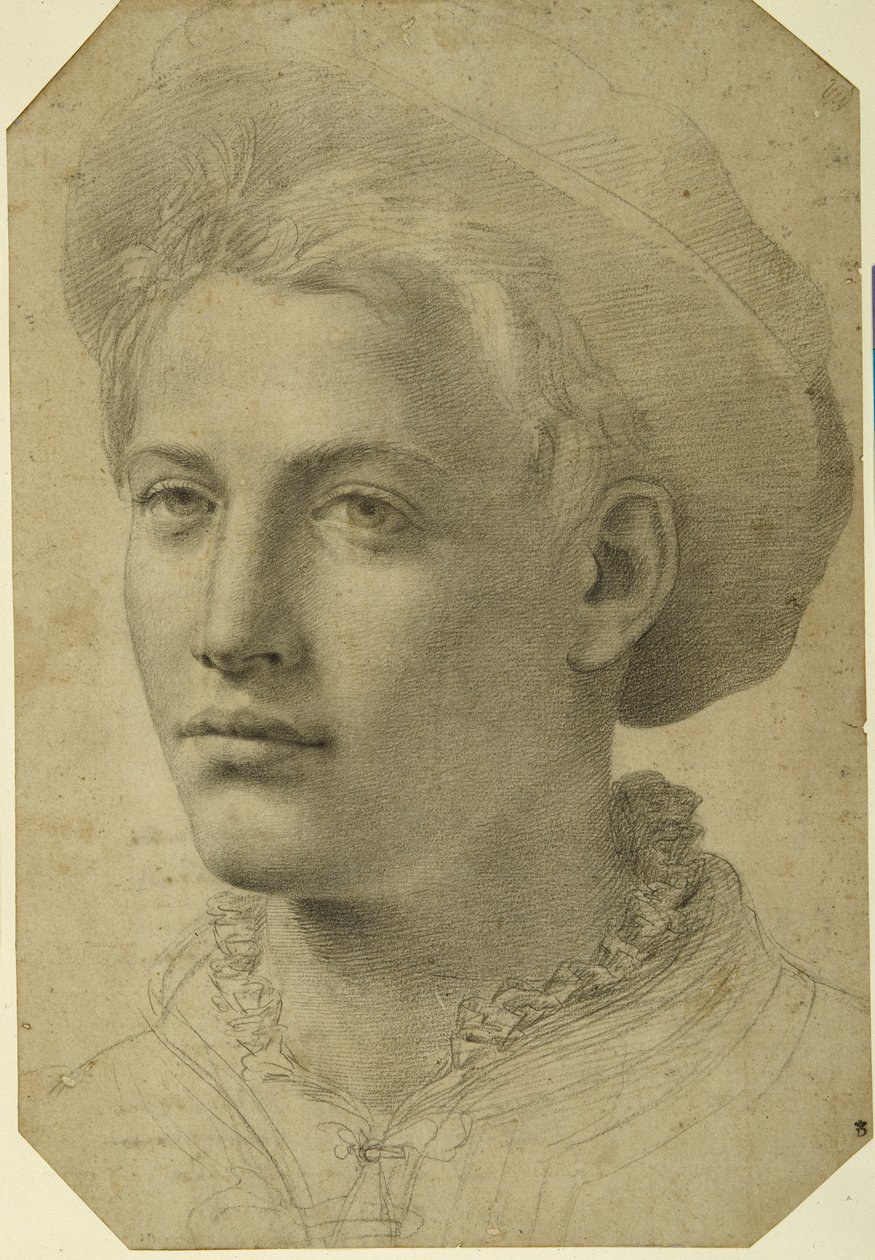Portrait Head of a Youth Wearing a Cap, c.1530-40 by Florentine School