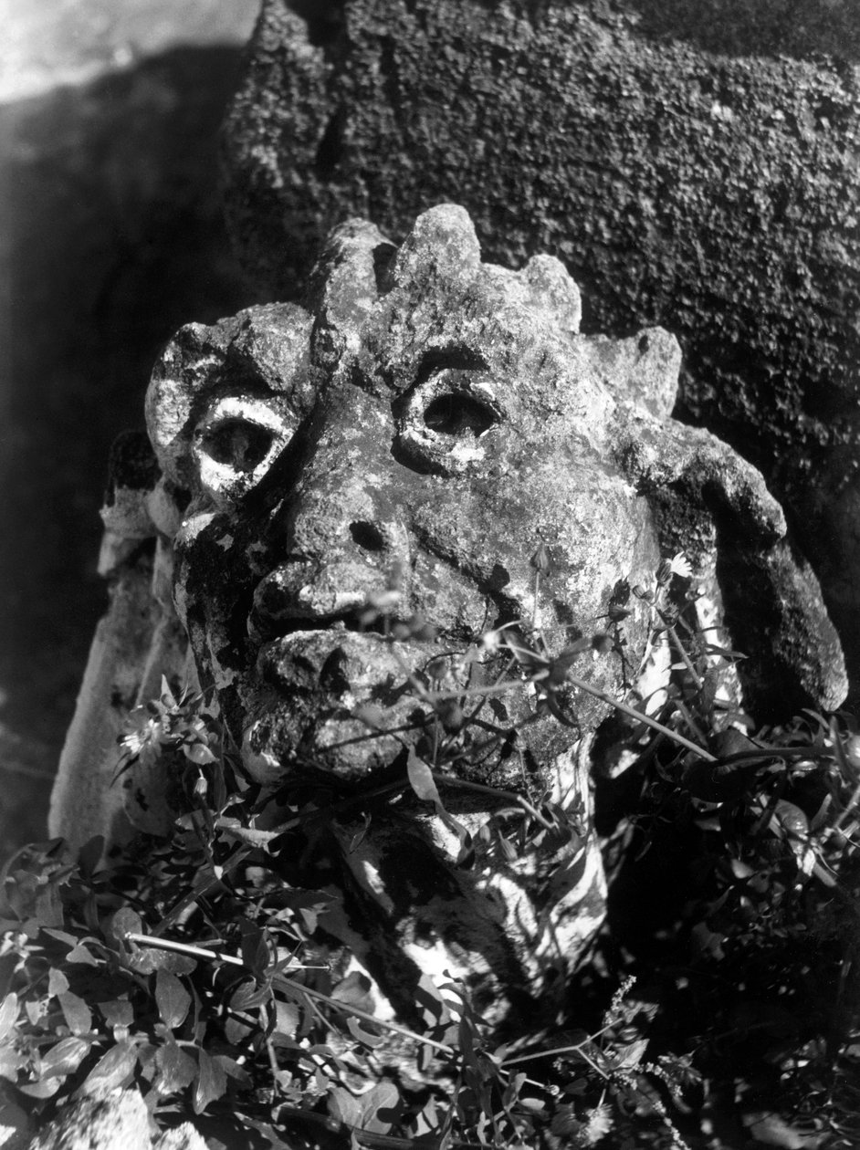 Villa Palagonia in Bagheria: Head of Fallen Statue among Twigs by Fosco Maraini