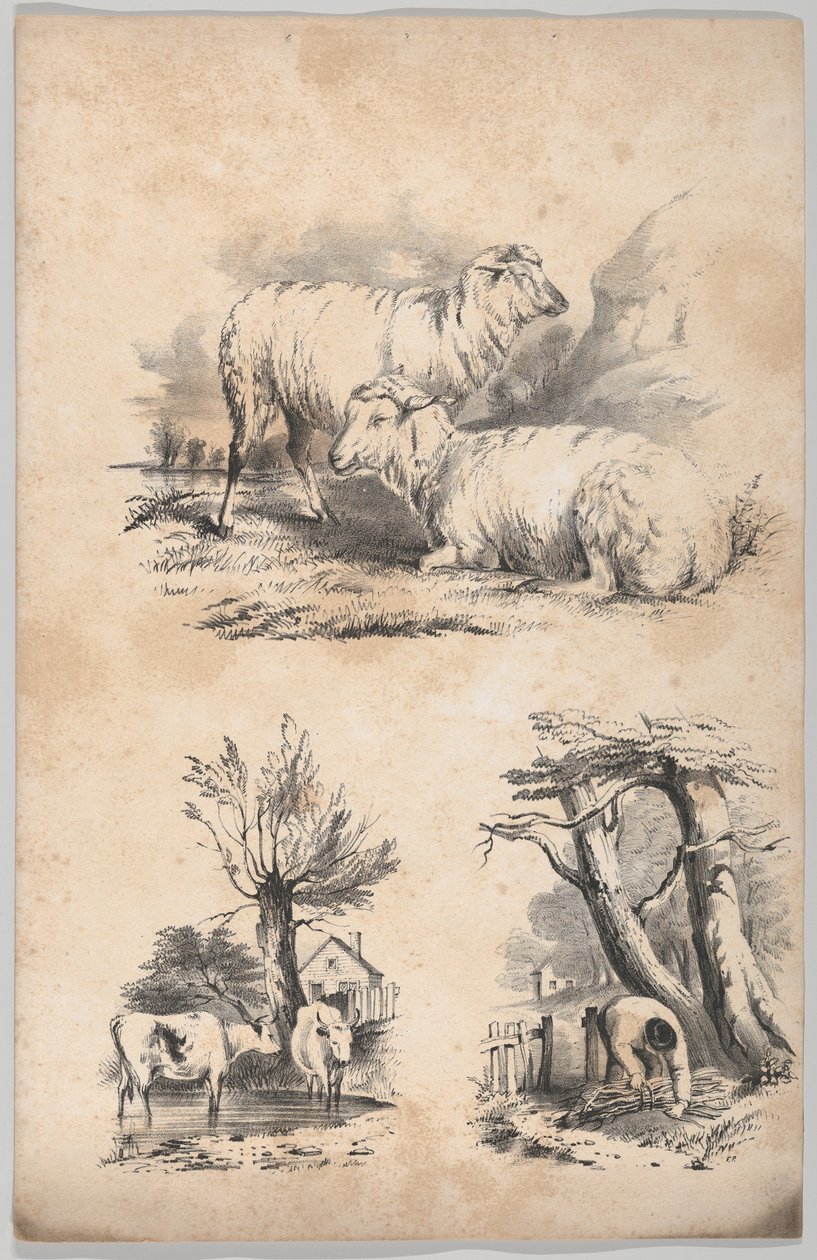 Vignette with two sheep, Vignette with two cows in a pool, and Vignette of a wood-gatherer, 1847 by Frances Flora Bond Palmer