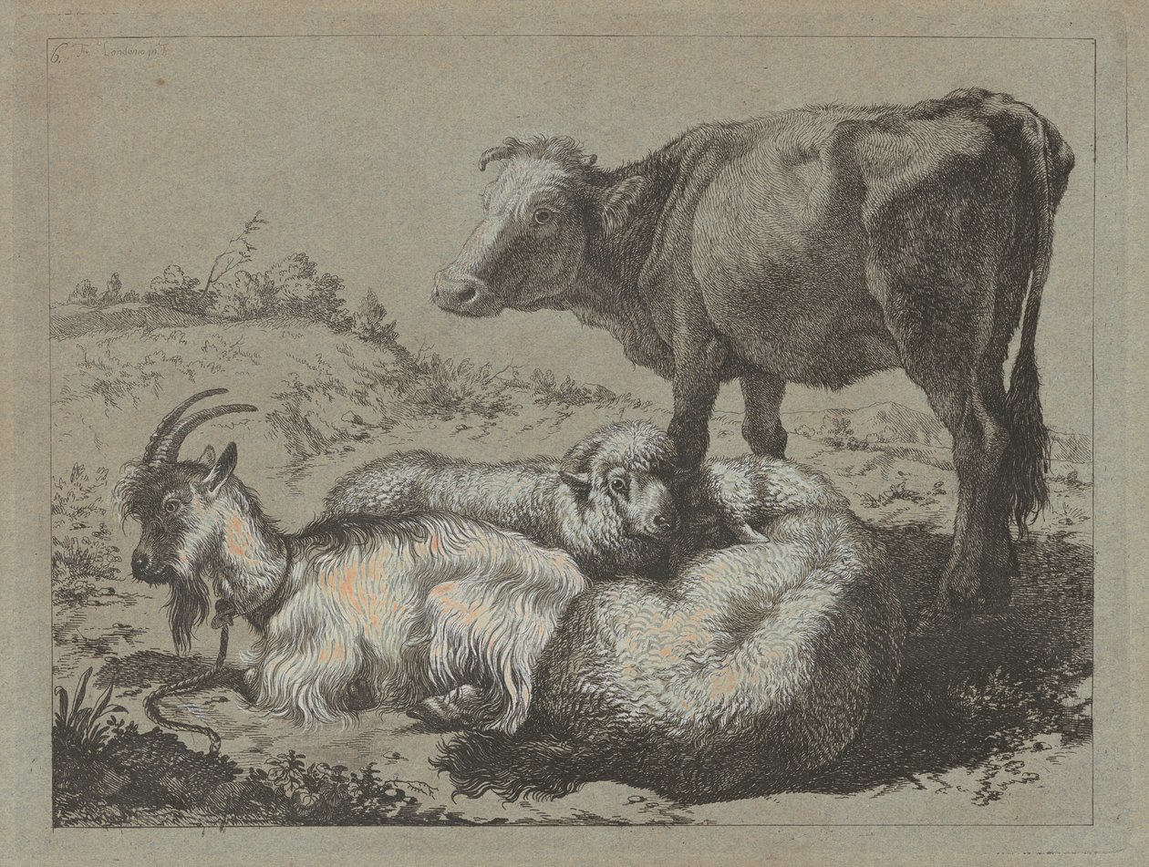 Standing Ox, Two Sheep, and a Goat, c. 1762 by Francesco Londonio