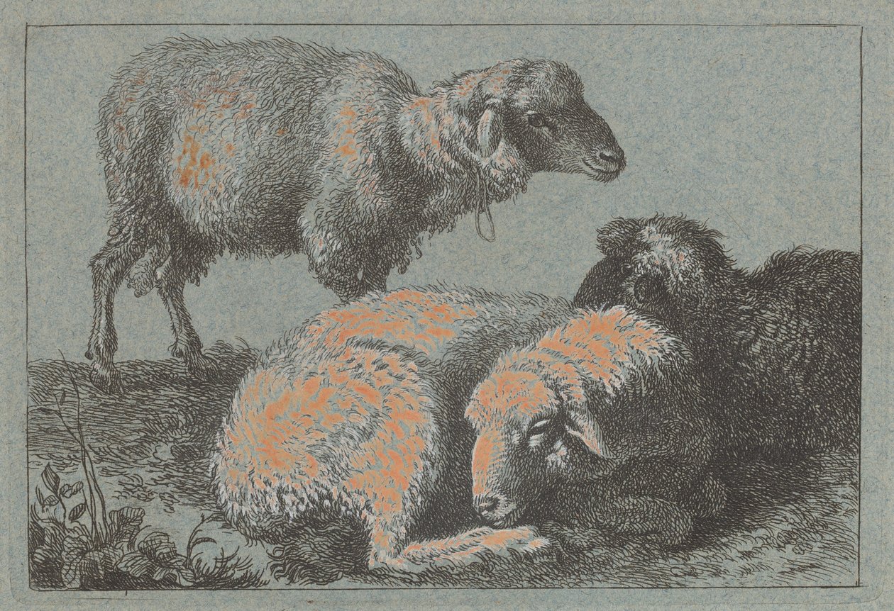 Two Reclining Sheep and One Standing Sheep by Francesco Londonio