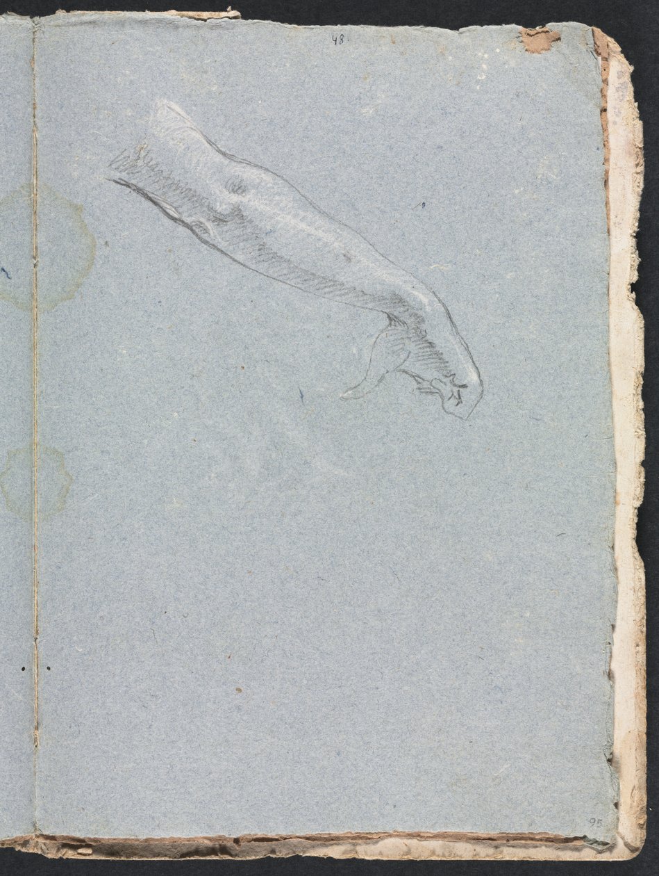 Verona Sketchbook: Right Arm and Hand Page 95 by Francesco Lorenzi