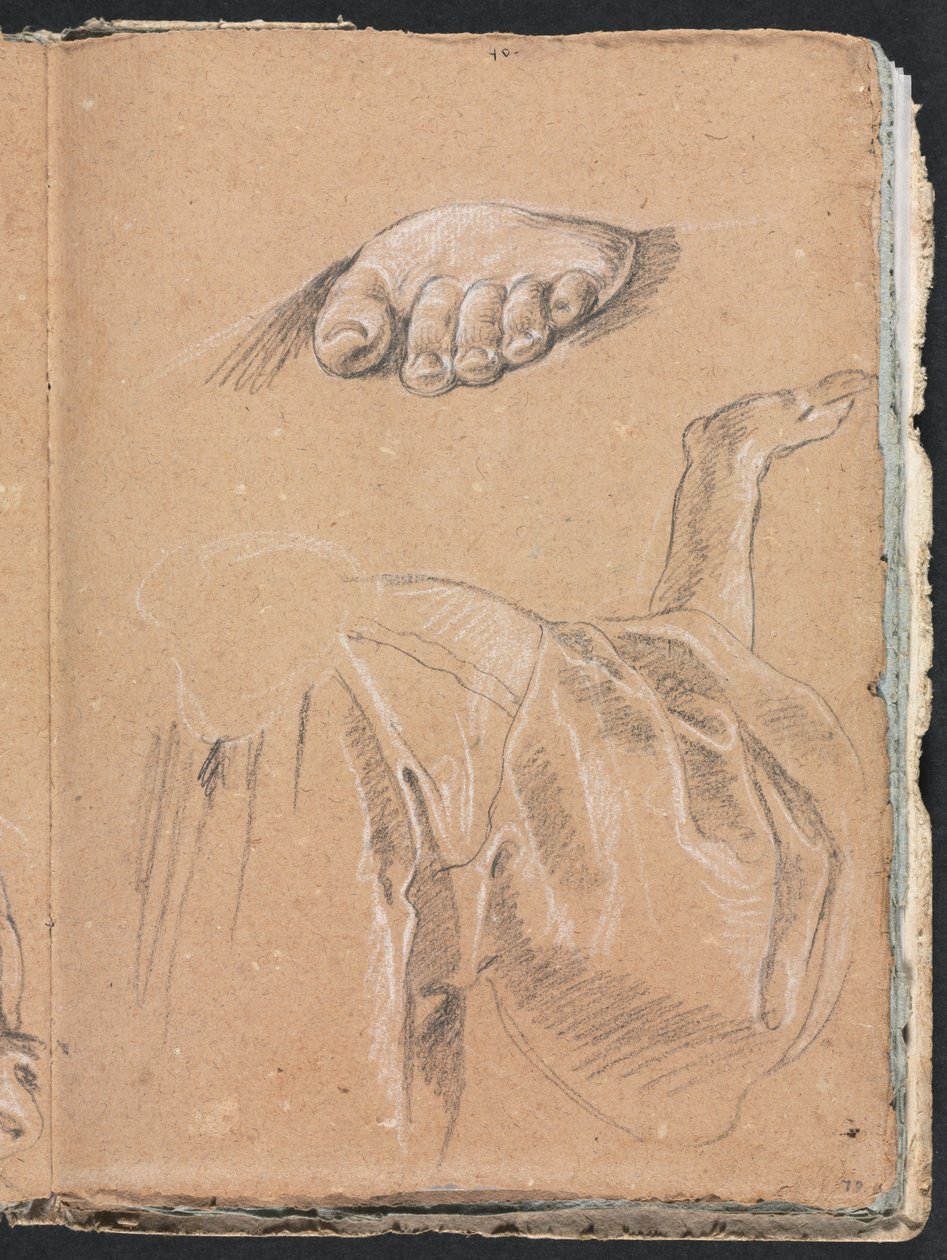 Verona Sketchbook: Study of a Left Foot and Drapery Study with Right Arm, Page 79, 1760 by Francesco Lorenzi
