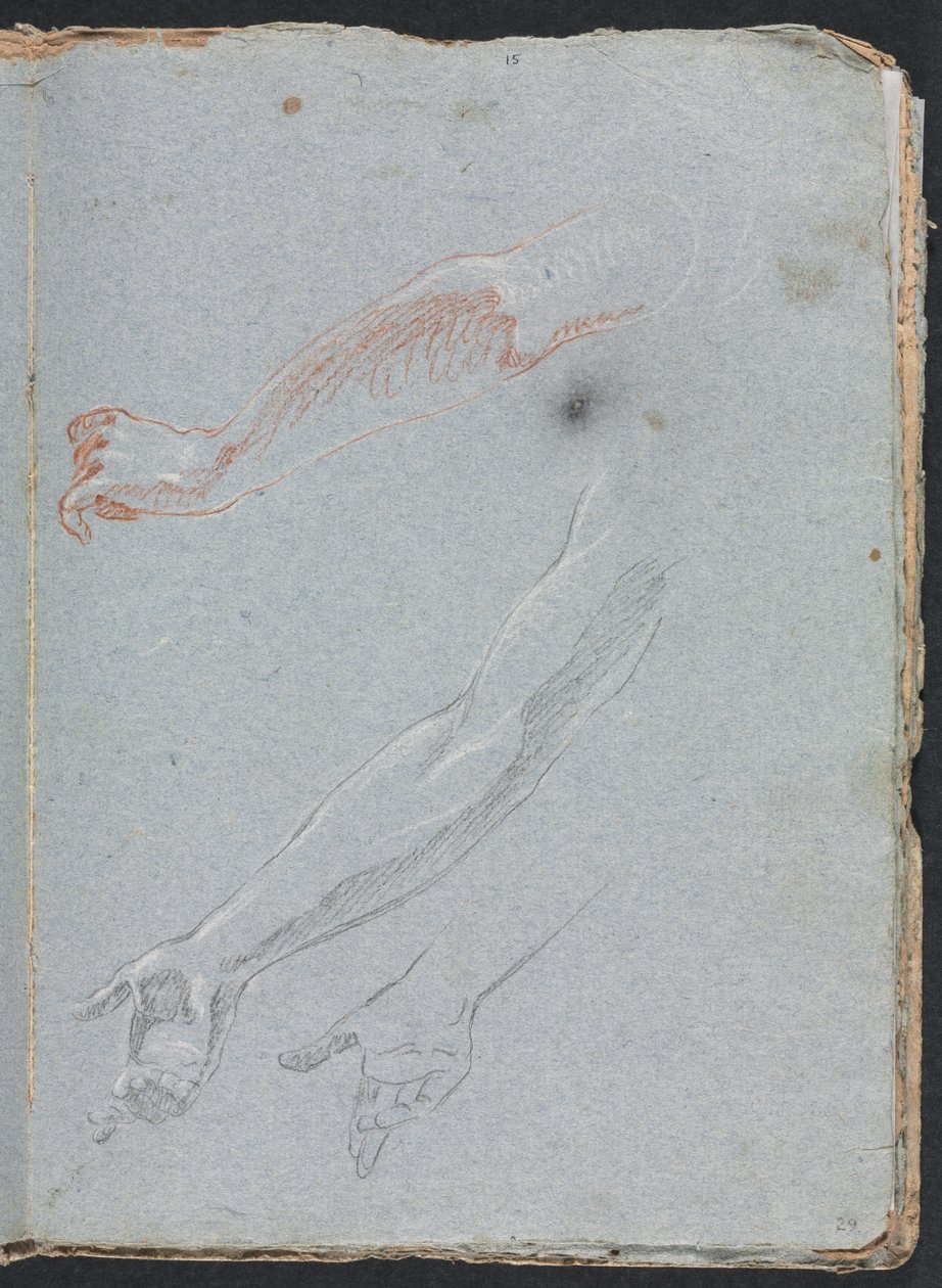 Verona Sketchbook: Study of Hands and Arms Page 29, 1760 by Francesco Lorenzi
