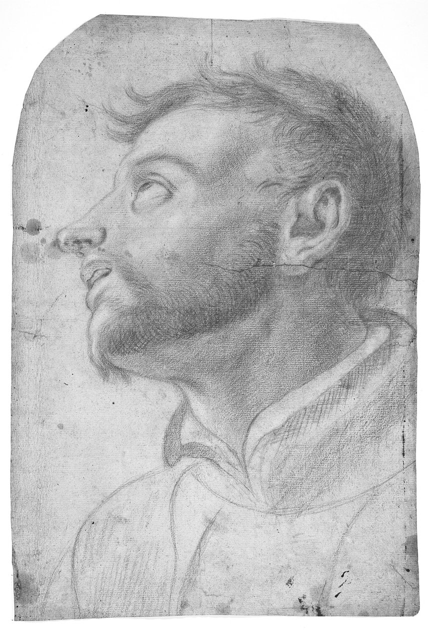 Head of a Man Gazing Upwards by Francesco Solimena