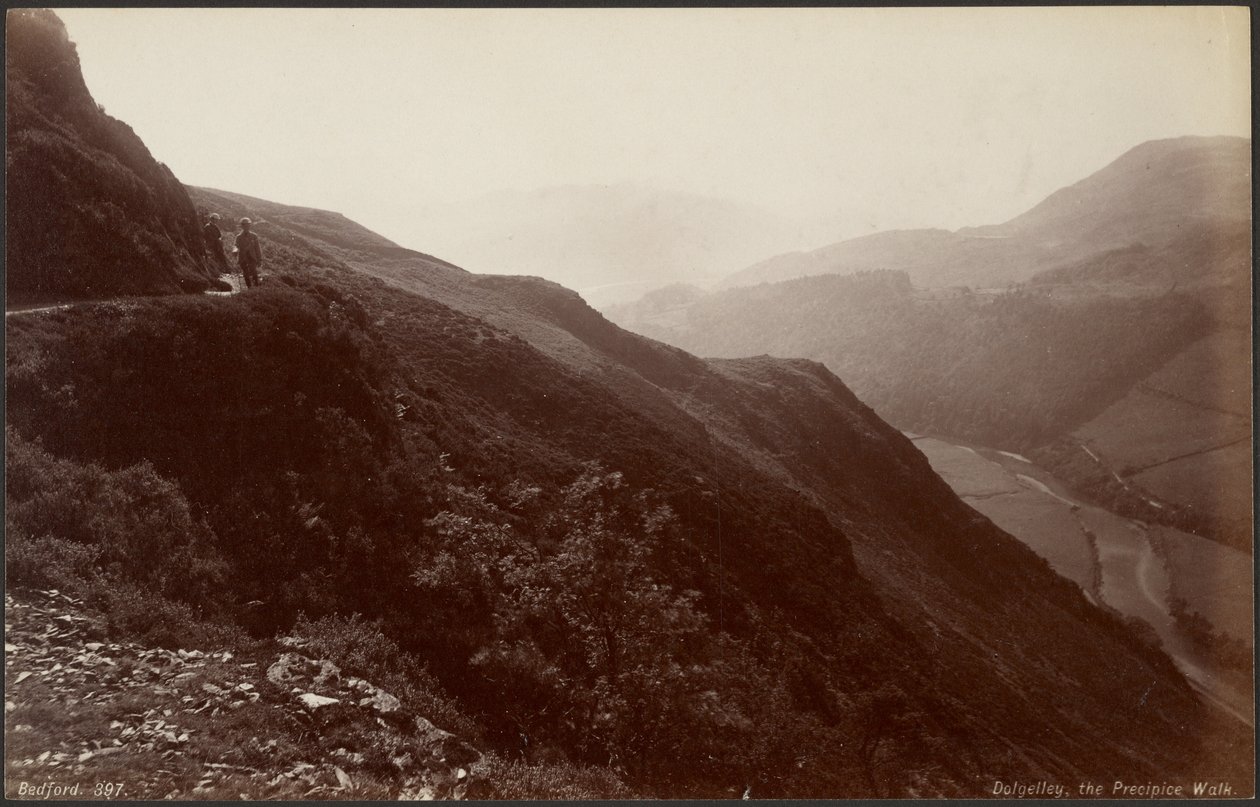 Dolgelley, the Precipice Walk by Francis Bedford