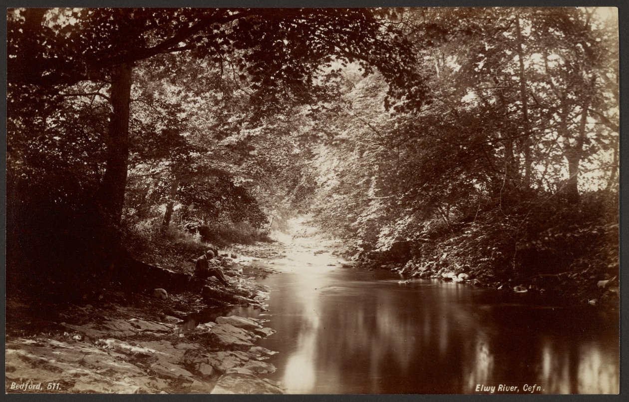 Elwy River, Cefn by Francis Bedford