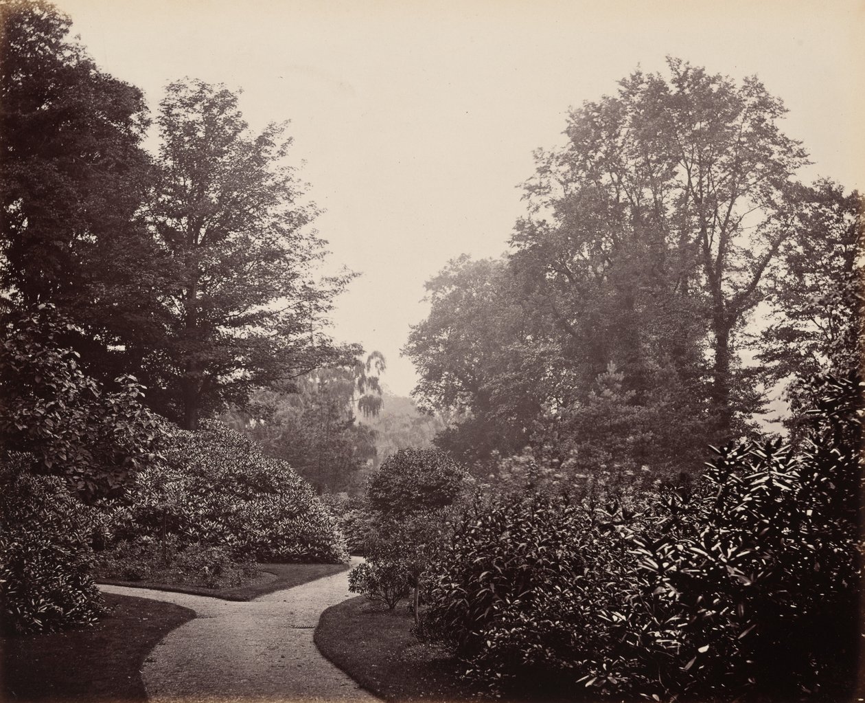Pathway in Alexandra Park, c. 1863 by Francis Bedford