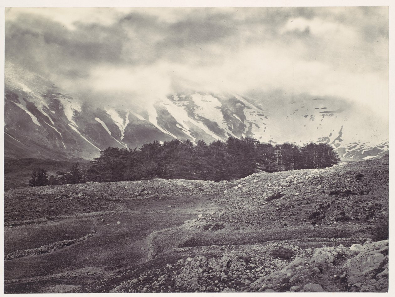 Distant View of the Cedars of Lebanon by Francis Frith