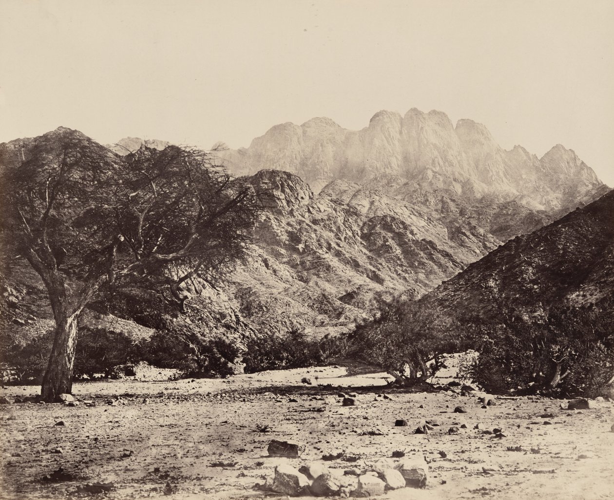 Mount Serbal, from the Wádee Feyrán, Egypt by Francis Frith