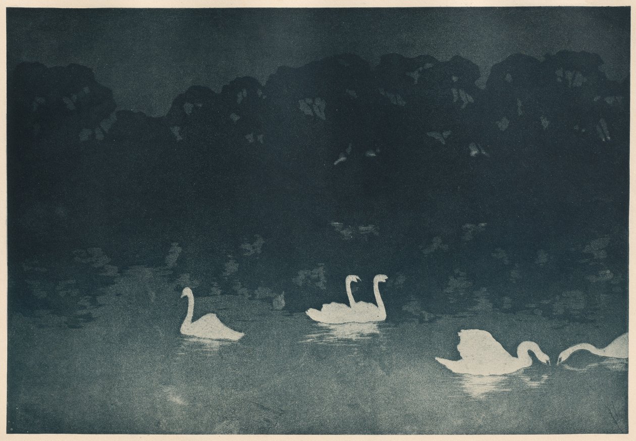 The Swans by Francis Jourdain