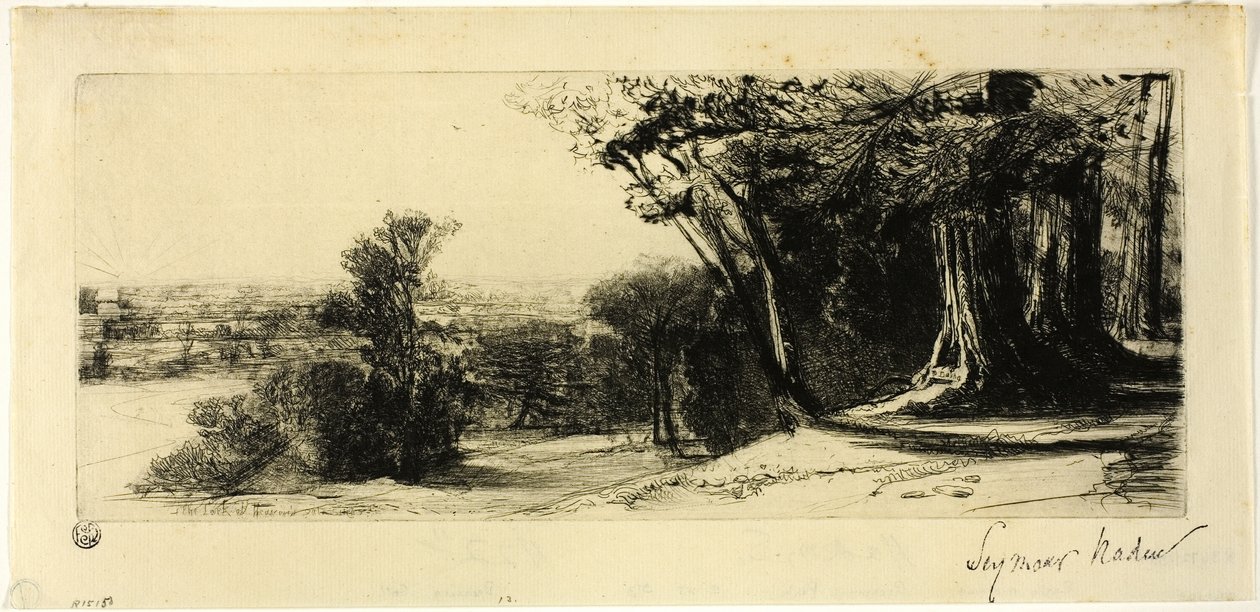 Early Morning, Richmond Park by Francis Seymour Haden