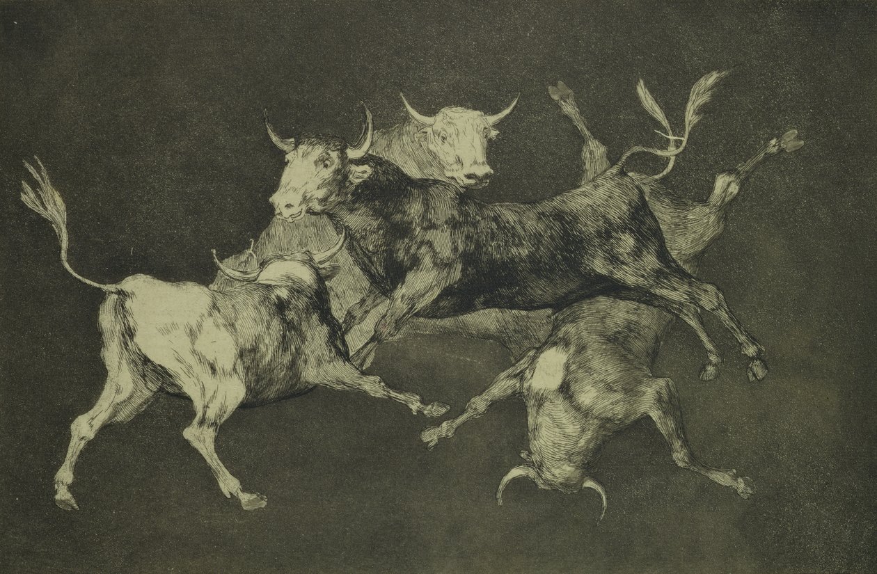 Folly of the Bulls, from the Follies Series, c.1815-24 by Francisco de Goya