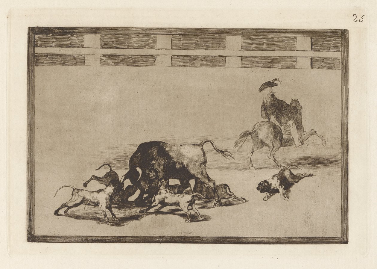 They Loose Dogs on the Bull, Plate 25 from La tauromaquia by Francisco de Goya