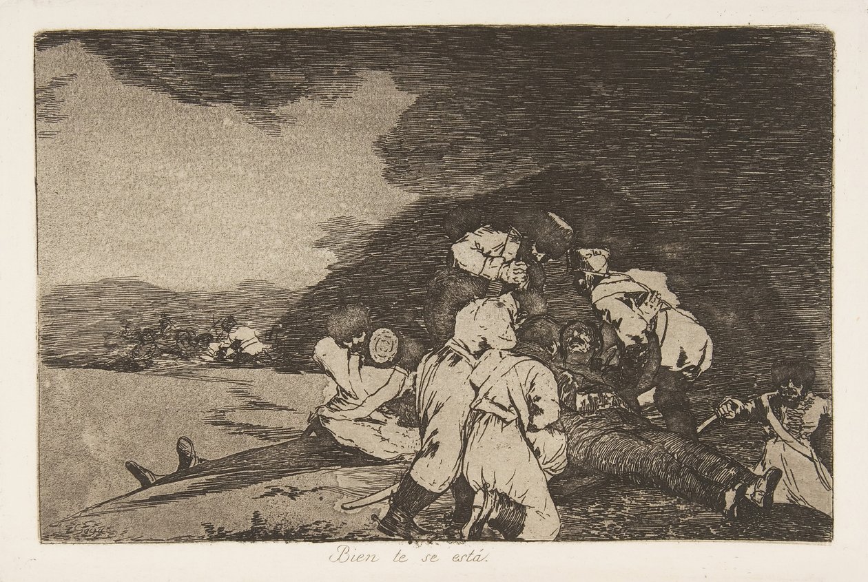 Plate 6 from 
